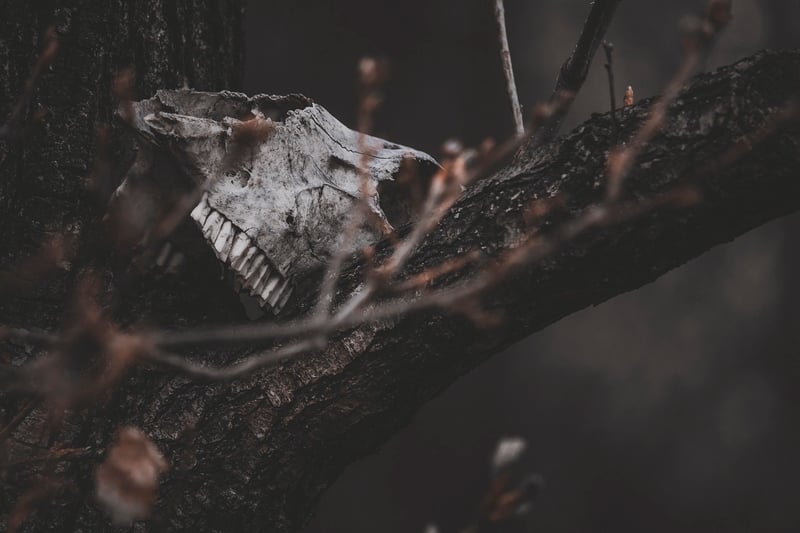 Dark Narrative Image